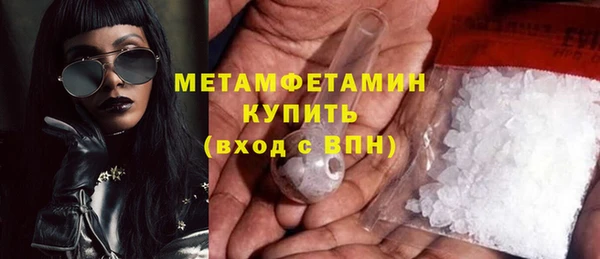 прущие грибы Белокуриха