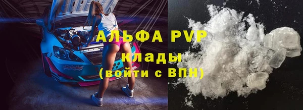 прущие грибы Белокуриха